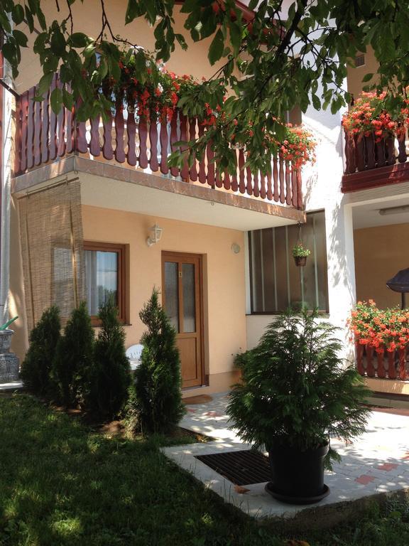 Guesthouse Ante Hodak Seliste Dreznicko Exterior foto