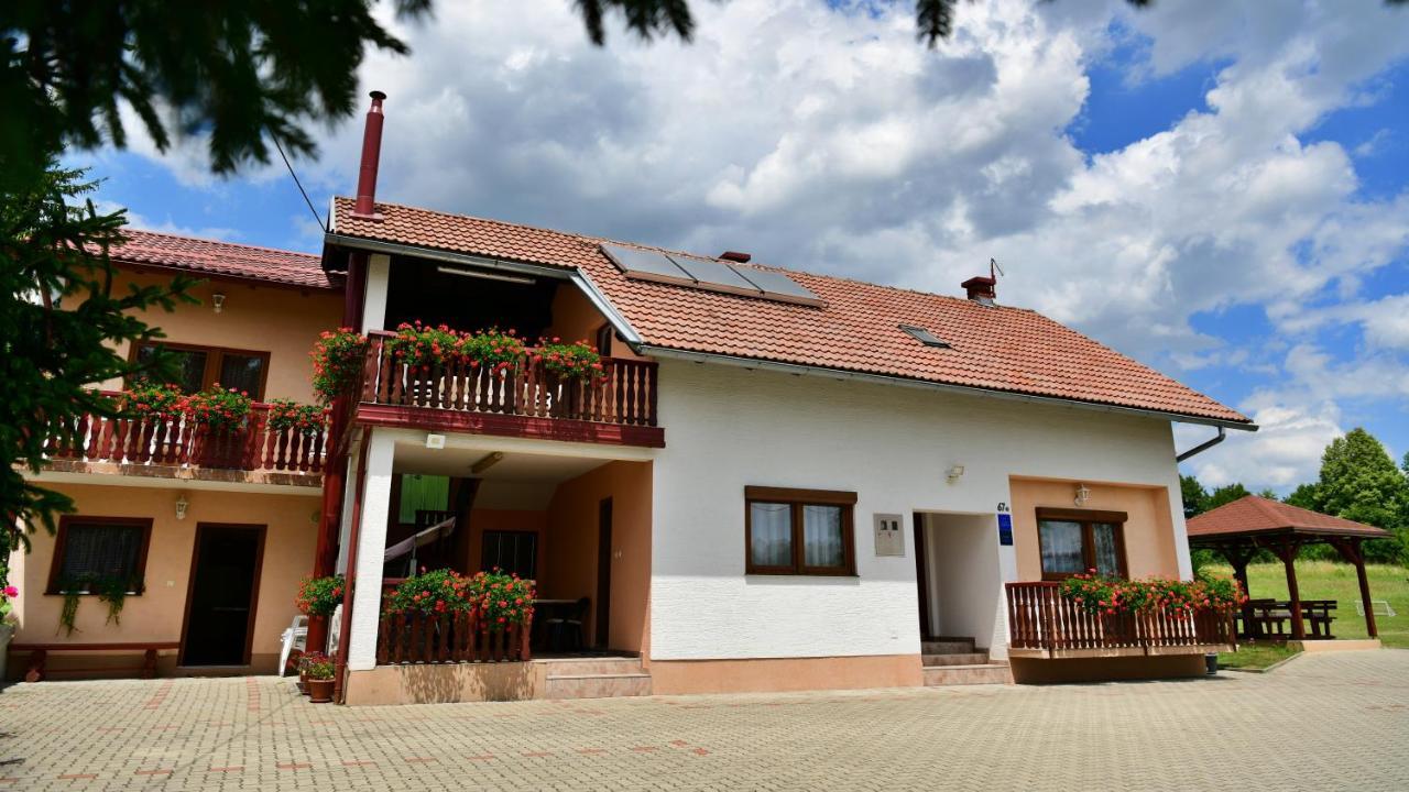 Guesthouse Ante Hodak Seliste Dreznicko Exterior foto